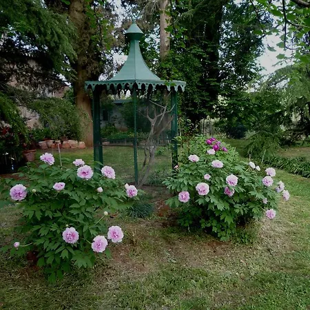 Bed & Breakfast La Riniera